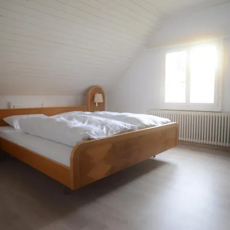 Am Bodensee Naehe Konstanz Apartment *